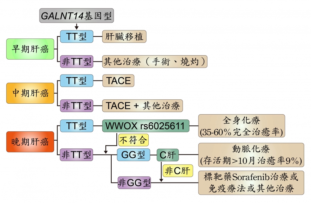 Hold肝癌，成就解鎖