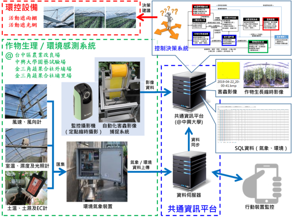 牛番茄高溫環境生產管理及病蟲害預警與防治