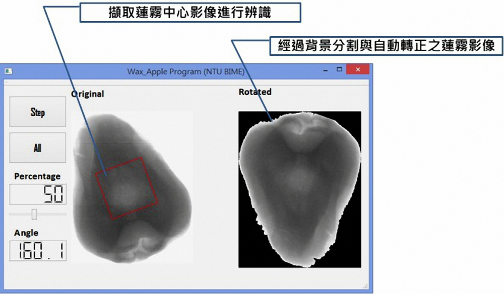 水果殘留病蟲害一目瞭然 市面上首創商品化水果X光