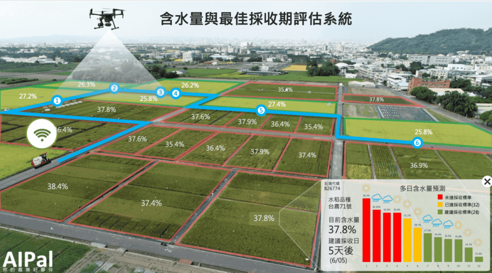 不再靠天吃飯，智慧農業助稻農採收最佳水稻