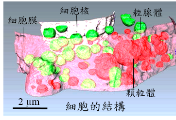 技術搶先看—超級顯微鏡－奈米級超高解析度的3D掃描技術(軟X光)