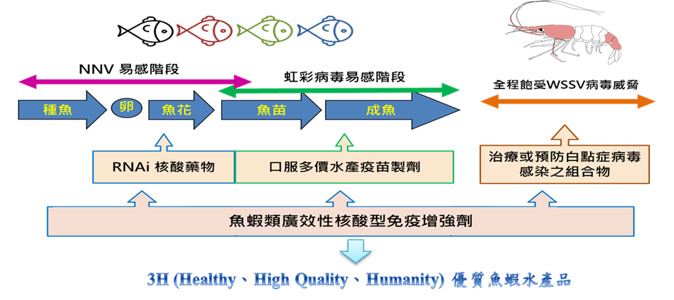 技術搶先看—開發一條龍應用之新型態水產添加劑